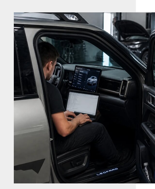 Русификация BYD Leopard 3 в Красноярске по цене от 20218 р. | ФастМобиль-Крс